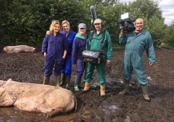 Overesch ecologisch landbouw in RTL4 programma Koffietijd