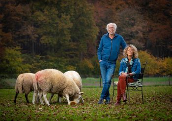 Eerst je verlangens (her)ontdekken, dan volgt het werk dat bij jou past vanzelf