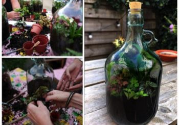 Dorpshuus Heino organiseert workshop flessentuin maken