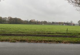 Bloemenbollen planten met Groen Samen Doen