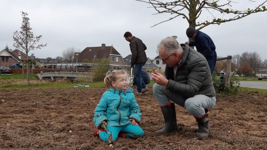 Bloembollenactie een groot succes