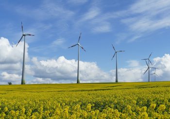 Windmolens in de gemeente Raalte; Wat vind jij belangrijk?