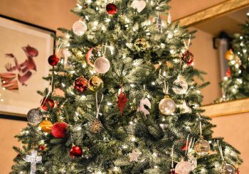 Inzameling kerstbomen gemeente Raalte