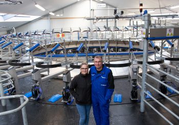 Heinose melkveebedrijven openen staldeuren tijdens open dag
