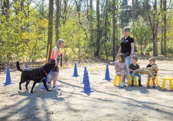 “De liefde van een hond geeft voldoening en blijdschap”
