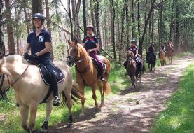 Open dag en clubkampioenschappen Paardensportvereniging Heino