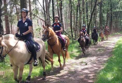 Open dag en clubkampioenschappen Paardensportvereniging Heino