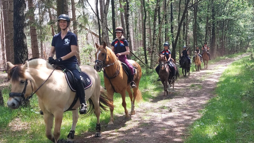 Open dag en clubkampioenschappen Paardensportvereniging Heino