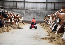 Ontdek het boerenleven op de Open Boerderijdag bij de Familie Kleverkamp