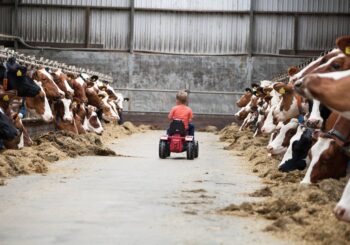 Ontdek het boerenleven op de Open Boerderijdag bij de Familie Kleverkamp