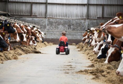 Ontdek het boerenleven op de Open Boerderijdag bij de Familie Kleverkamp