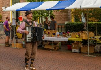 Donderse Markt vol met kraampjes, kleedjesmarkt en straattheater