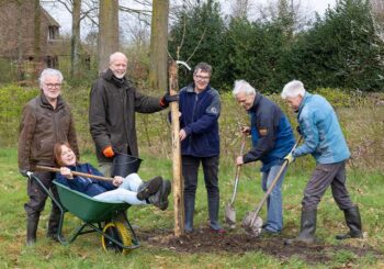 De Dorpsboomgaard is hipper dan het Vondelpark