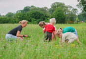 Biologisch varkensbedrijf met ruimte voor groot hart