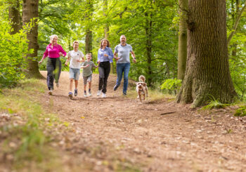 Doe mee, denk mee en werk mee aan InHeino!