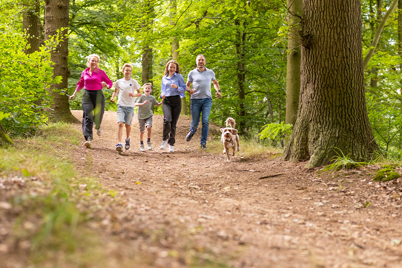 Doe mee, denk mee en werk mee aan InHeino!